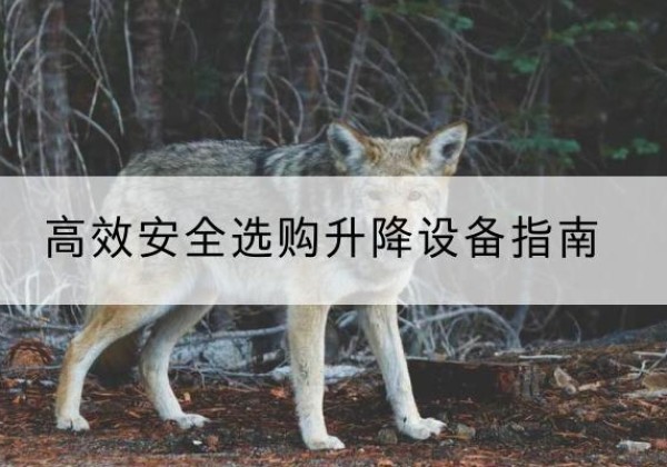 二七升降货梯厂家推荐-*安全选购升降设备指南