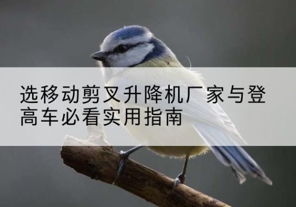 二七电动升降机厂家-选移动剪叉升降机厂家与登高车必看实用指南