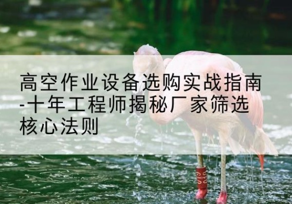 二七剪叉式升降机厂家-高空作业设备选购实战指南-十年工程师揭秘厂家筛选核心法则